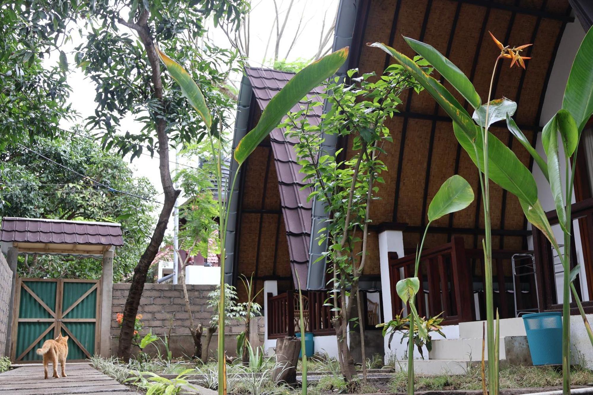Rumah Gemala Gili Air Kültér fotó